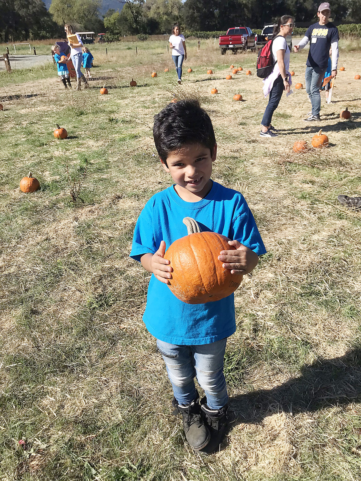 Pumpkin Patch